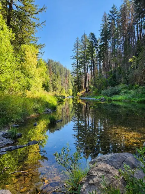 Umpqua National Forest recreation area