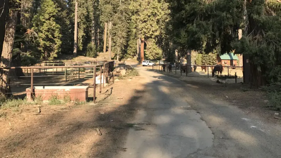 Sequoia & Kings Canyon National Parks recreation area