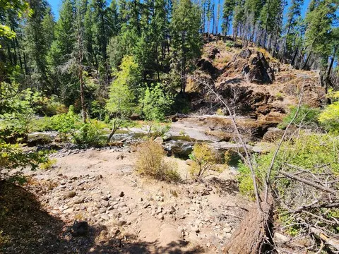 Umpqua National Forest recreation area