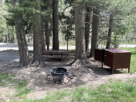 Humboldt-Toiyabe National Forest Headquarters recreation area