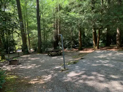Van Hook Glade Campground 2