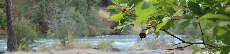 Okanogan-Wenatchee National Forest recreation area