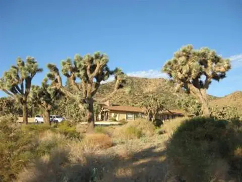 Joshua Tree National Park recreation area