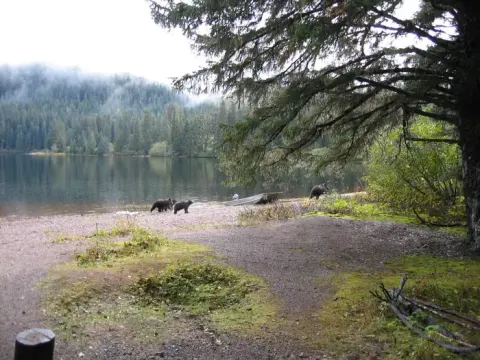 Tongass National Forest recreation area