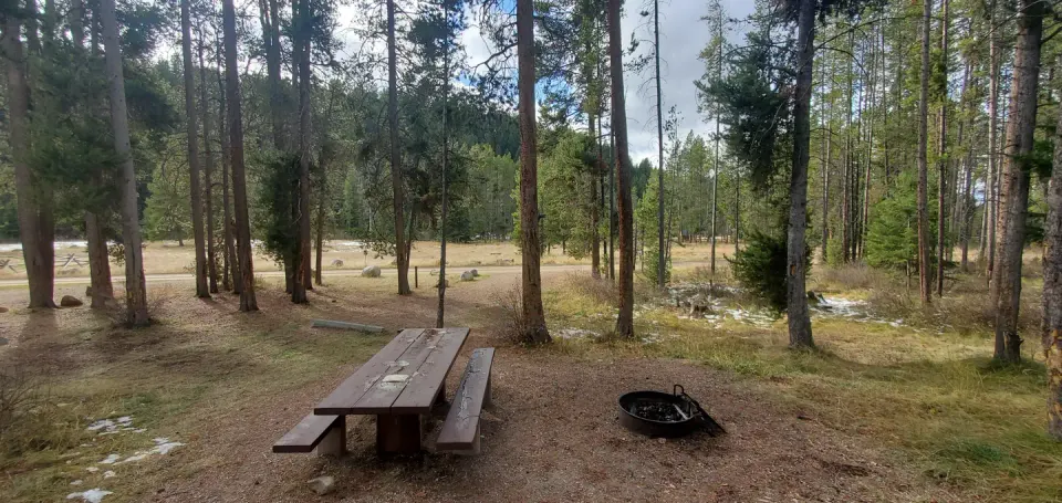 Campsite with picnic table and fire ring alongside the campground road