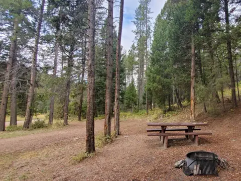 Campsite with table, fire ring, and parking spur
