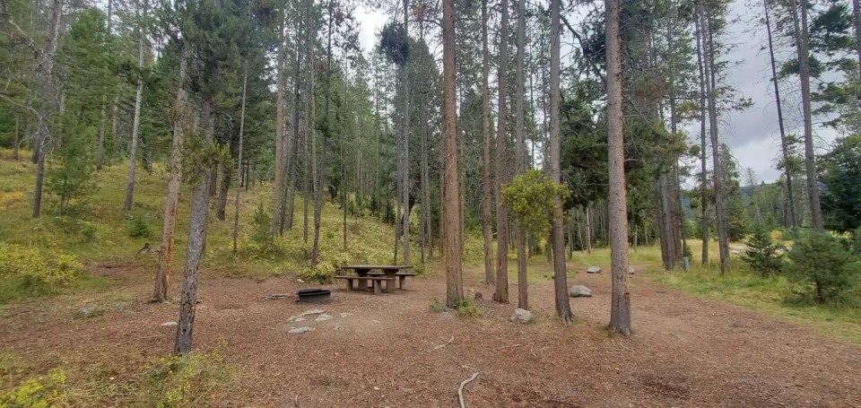 Campsite with fire ring and picnic table and parking spur