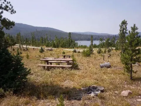 Hog Park Preview