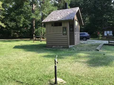 Francis Marion and Sumter National Forests recreation area