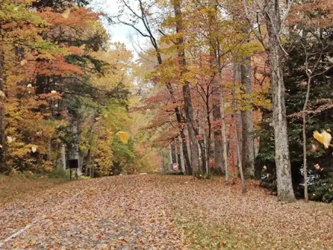 Great Smoky Mountains National Park recreation area