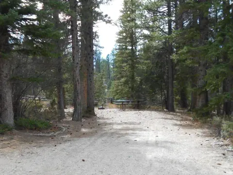 Dixie National Forest recreation area