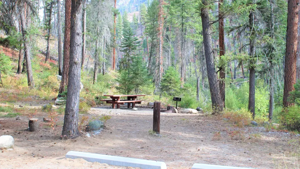 Campsite in the pines with picnic table and fire grill.
