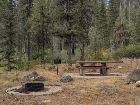 Ponderosa Campground site with table and fire ring