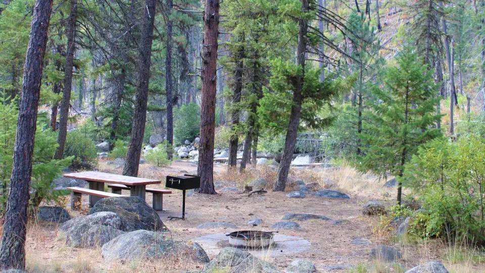 Forested campsite with picnic table, fire ring and grill.