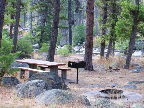 Forested campsite with picnic table, pedestal grill and fire pit.