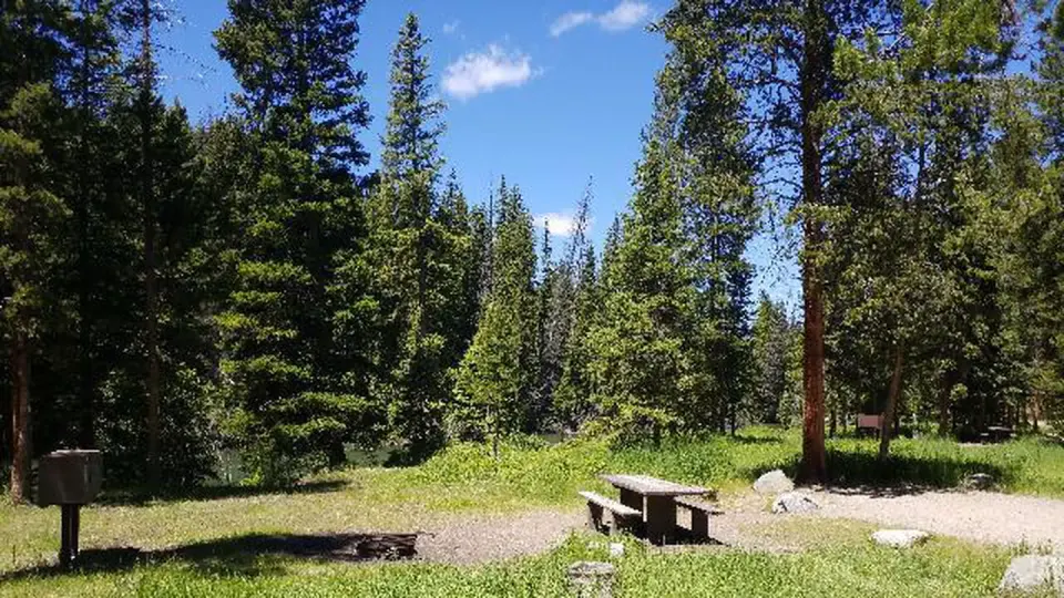 Hunter Peak Campsite 2 with picnic table and trees