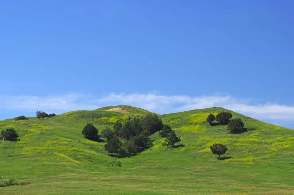 Sage Creek Campground 001