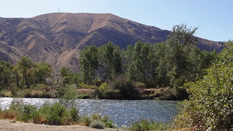 River view of Lmuma Creek recreation site.