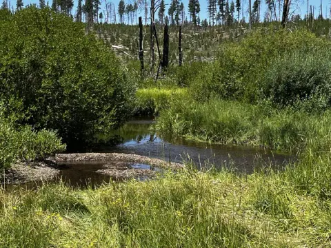Malheur National Forest recreation area