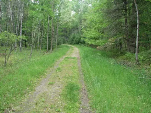 Huron-Manistee National Forests recreation area