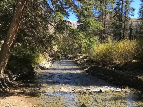 Manti-La Sal National Forest recreation area
