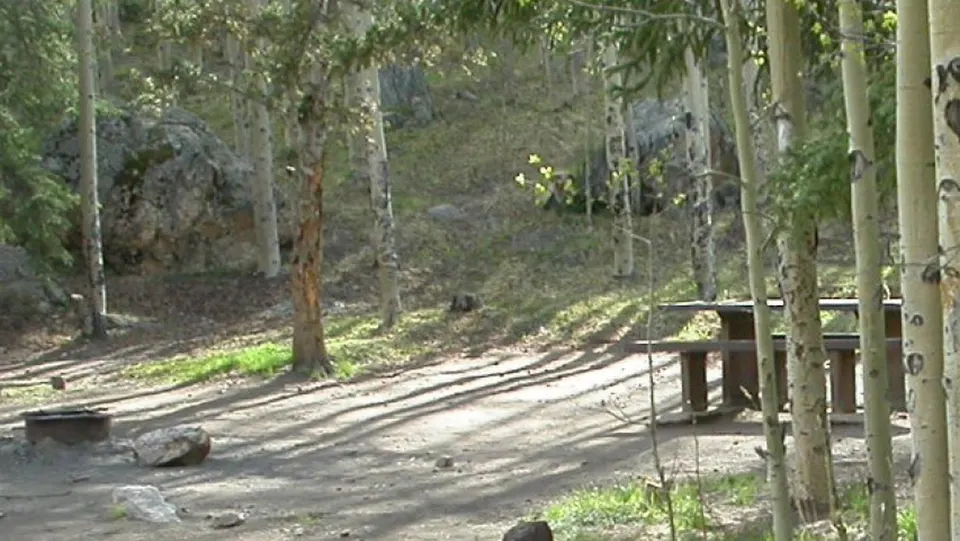 Clear Lake CG. A campsite at Clear Lake with a picnic table and fire pit.