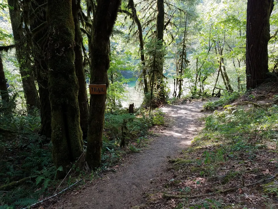 Trail to Quartzville Creek at Yellowbottom Recreation Site