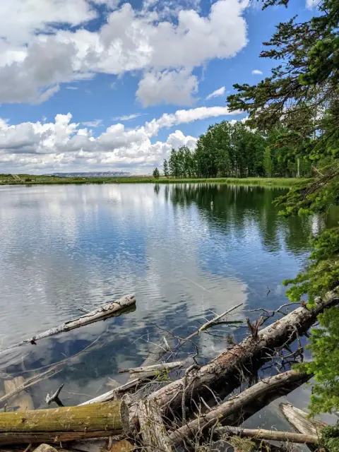 Manti-La Sal National Forest recreation area