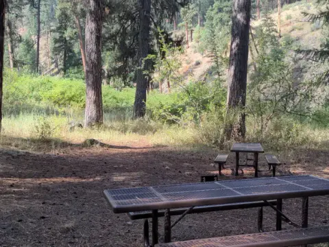 Double walk-in campsite at River Loop adjacent to the South Fork of the Salmon River.