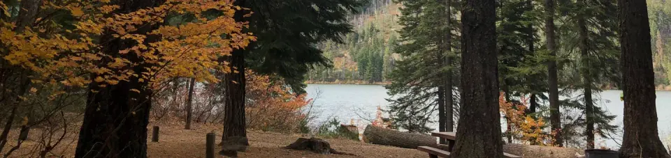 Link Creek Campground in Fall