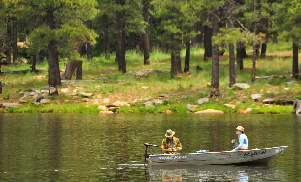 Apache-Sitgreaves National Forest recreation area