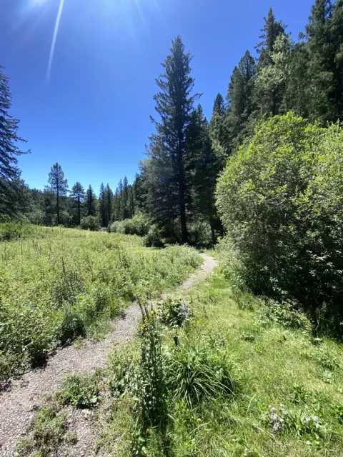 Santa Fe National Forest recreation area