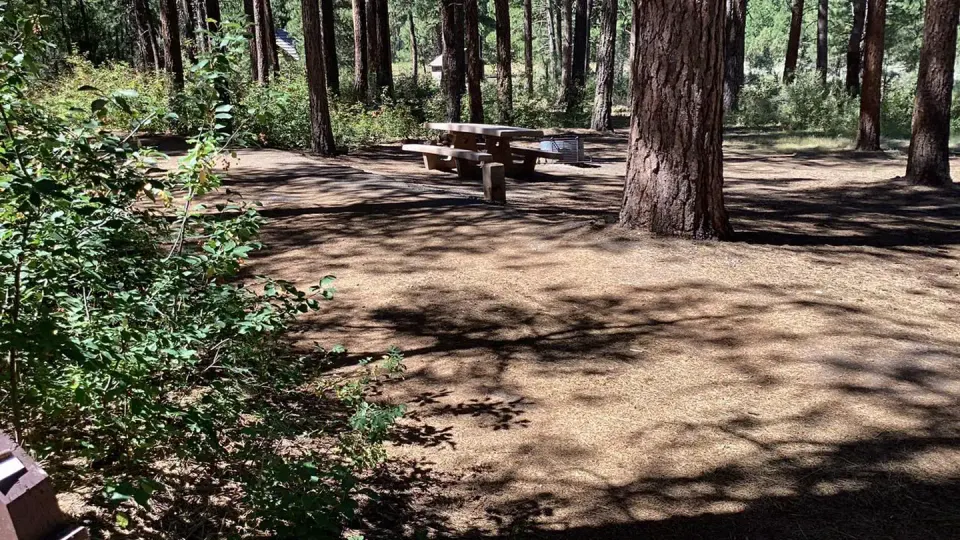 Campsite