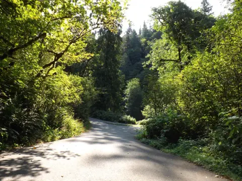 campground road