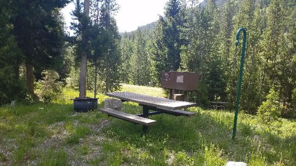 Threemile Campground Campsite 5 with picnic table, bear box, fire ring. Trees in background