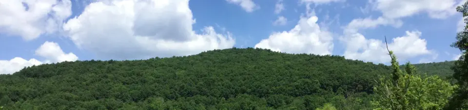 Allegheny National Forest recreation area