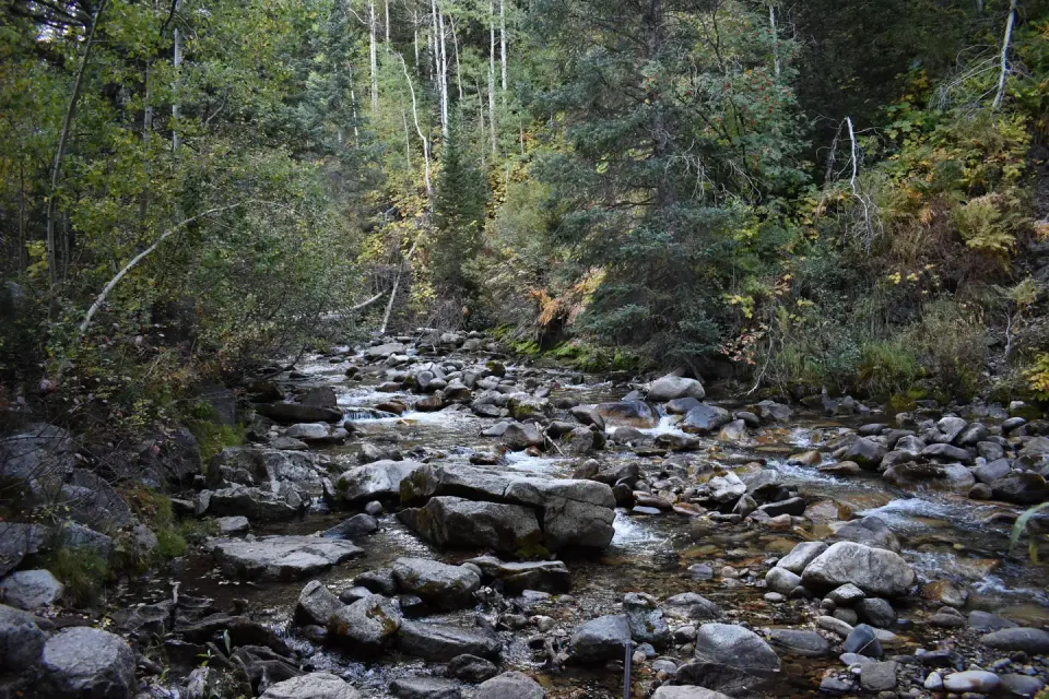 Uinta-Wasatch-Cache National Forest recreation area