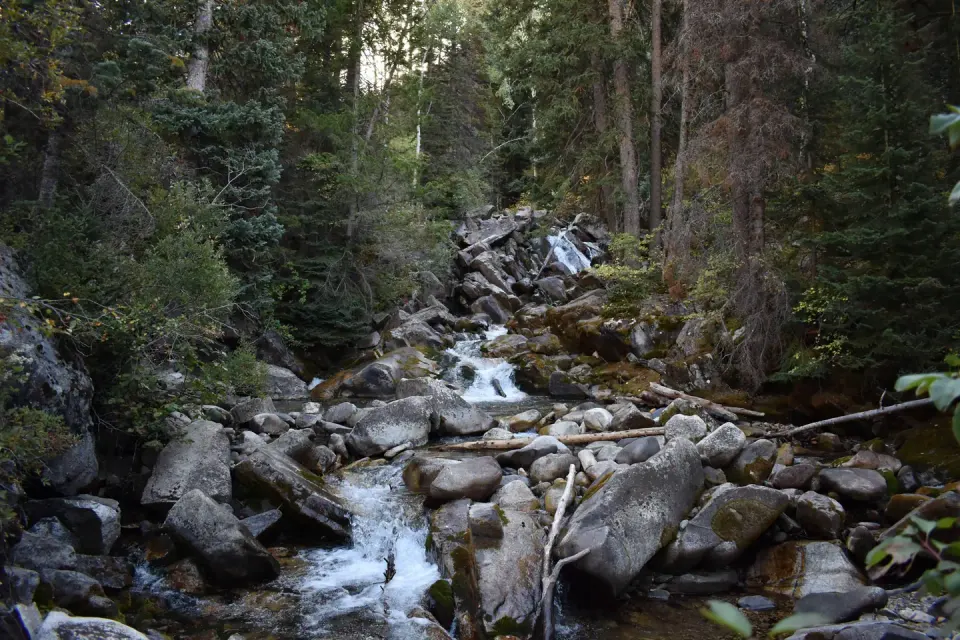 Uinta-Wasatch-Cache National Forest recreation area