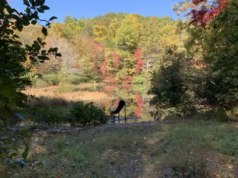 Chattahoochee-Oconee National Forest recreation area