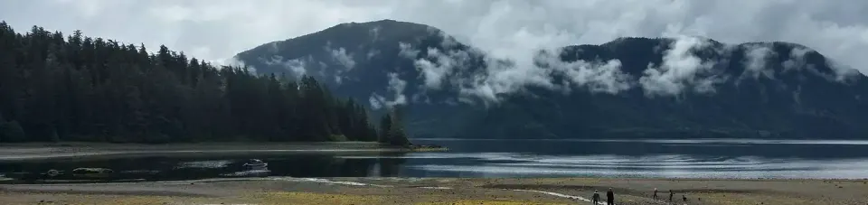 View from cabin deck