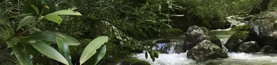 National Forests in North Carolina recreation area