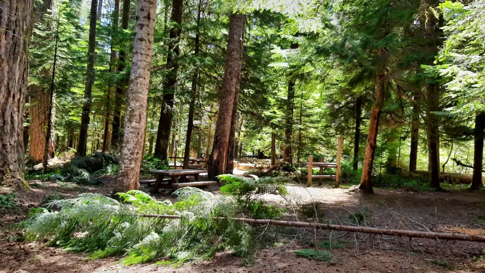 campsite