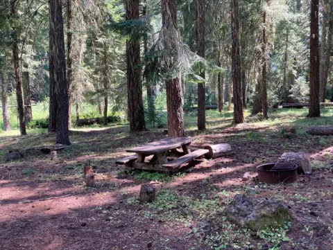 Rogue River-Siskiyou National Forest recreation area