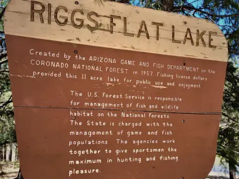 Coronado National Forest recreation area