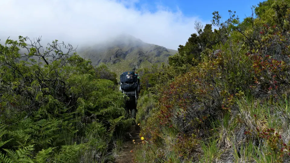 two backpackers walk a narrow trail surrounded by lush greenery and mountain and clouds in distance