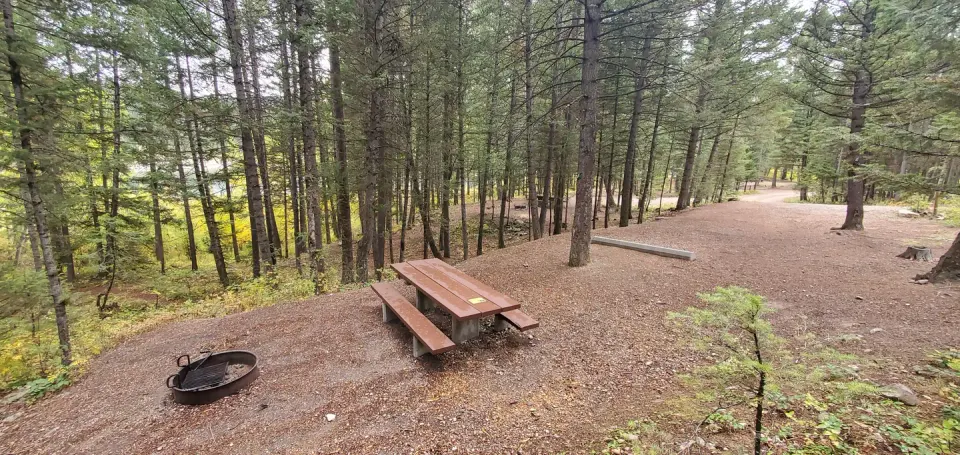 Campsite with parking spur, picnic table, and fire ring