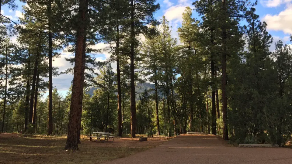 Sharp Creek Campground, Tonto National Forest