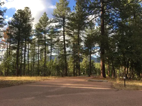 Tonto National Forest recreation area