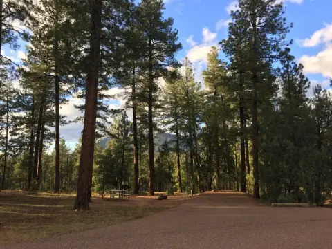 Sharp Creek Campground Beautiful Views