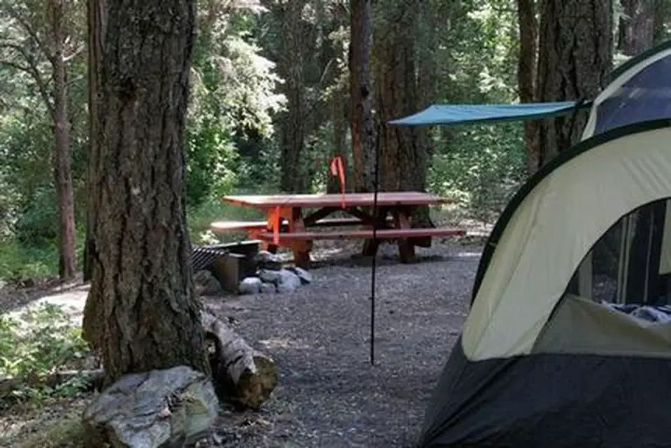 Rogue River-Siskiyou National Forest recreation area